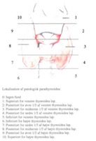 spirometri